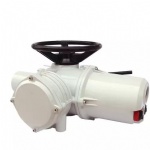 Rotork IQ40,IQT,IQ12,IQ95,IQ25,IQ18,IQTM1000,IQTM500,IQTM2000 Electric actuator