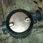 Z011-A Series Manual EBRO Valves