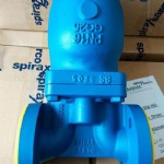 FT43-10 ball float steam trap