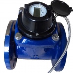 Woltman Digital/Mechanical Water Meter